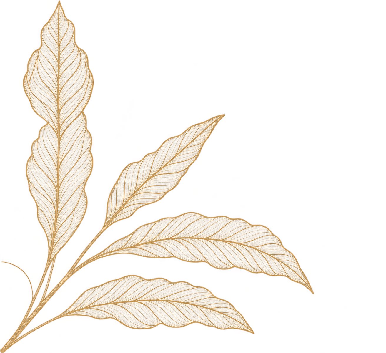 Motif Leaf